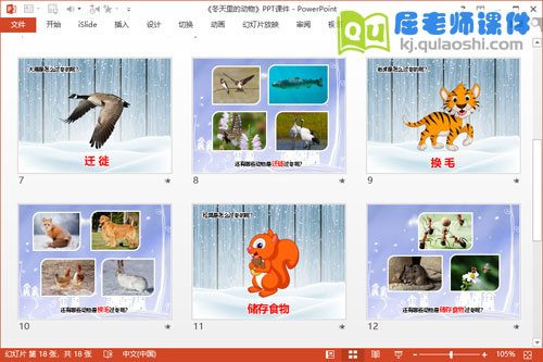 大班科学课件《冬天里的动物》PPT课件教案图片3