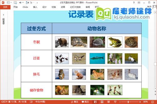 大班科学课件《冬天里的动物》PPT课件教案图片4