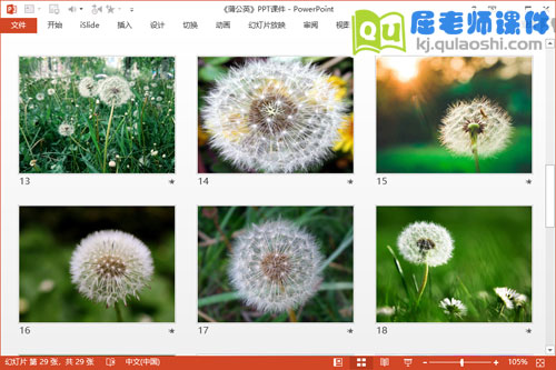 小班美术课件《蒲公英》PPT课件教案4