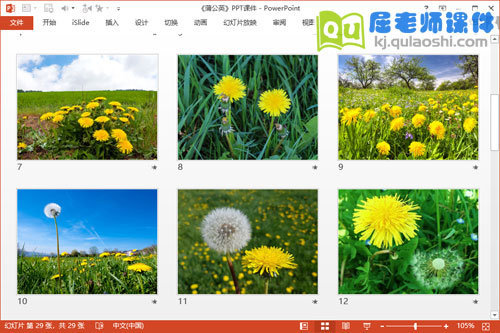 小班美术课件《蒲公英》PPT课件教案3