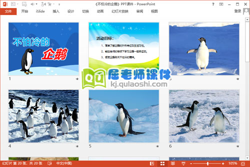 小班科学课件《不怕冷的企鹅》PPT课件教案视频2