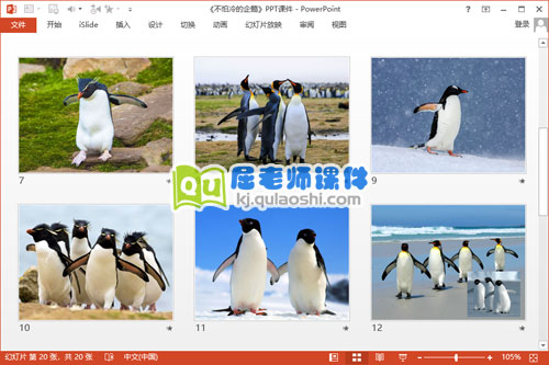 小班科学课件《不怕冷的企鹅》PPT课件教案视频3