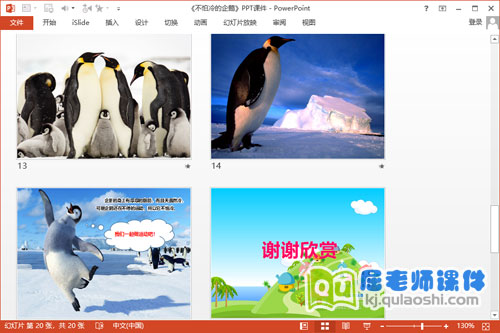 小班科学课件《不怕冷的企鹅》PPT课件教案视频4