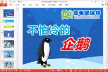 小班科学课件《不怕冷的企鹅》PPT课件教案视频