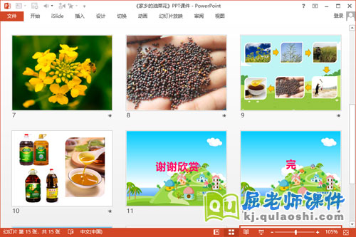 小班科学课件《家乡的油菜花》PPT课件教案3