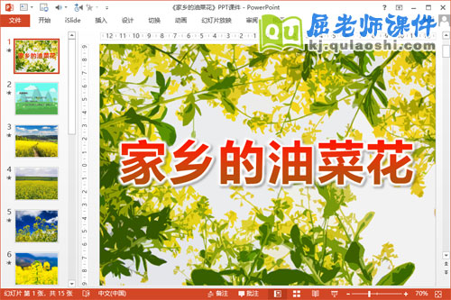 小班科学课件《家乡的油菜花》PPT课件教案