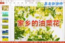 小班科学课件《家乡的油菜花》PPT课件教案下载
