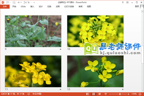 大班美术课件《油菜花》PPT课件教案3