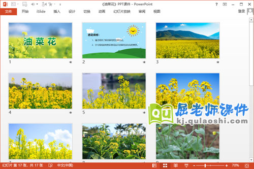 大班美术课件《油菜花》PPT课件教案2