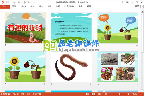大班科学课件《有趣的蚯蚓》PPT课件教案2