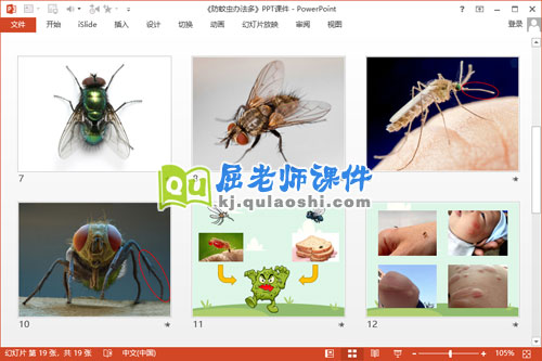 大班健康课件《防蚊虫办法多》PPT课件教案3