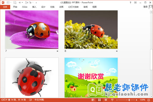 中班美术课件《七星瓢虫》PPT课件教案3