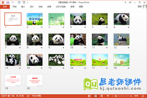 中班科学课件《国宝熊猫》PPT课件教案2