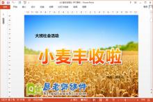 大班社会课件《小麦丰收啦》PPT课件教案