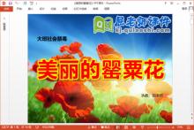 大班社会禁毒教育课件《美丽的罂粟花》PPT课件教案下载