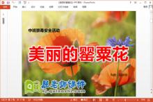 中班禁毒安全课件《美丽的罂粟花》PPT课件教案下载
