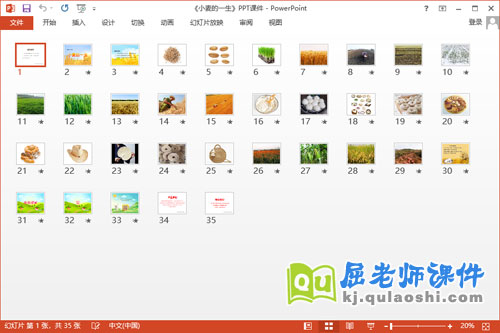 中班社会课件《小麦的一生》PPT课件教案音乐学具2