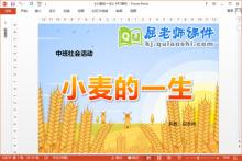 中班社会课件《小麦的一生》PPT课件教案音乐学具下载