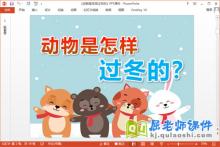 小班科学课件《动物是怎样过冬的》PPT课件教案图片下载