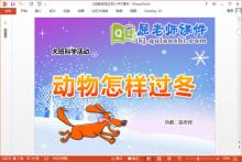 大班科学课件《动物怎样过冬》PPT课件教案教具下载