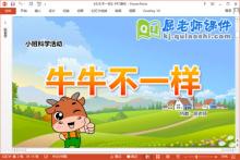 小班科学课件《牛牛不一样》教案学具PPT课件