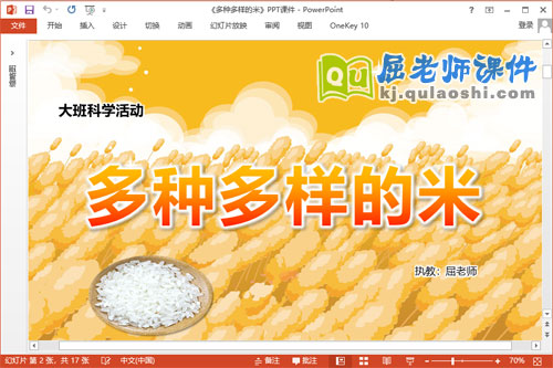 大班科学课件《多种多样的米》教案PPT课件