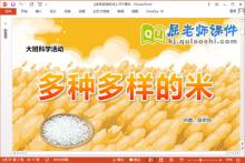 大班科学课件《多种多样的米》教案PPT课件
