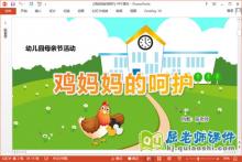 幼儿园母亲节课件《鸡妈妈的呵护》教案PPT课件下载