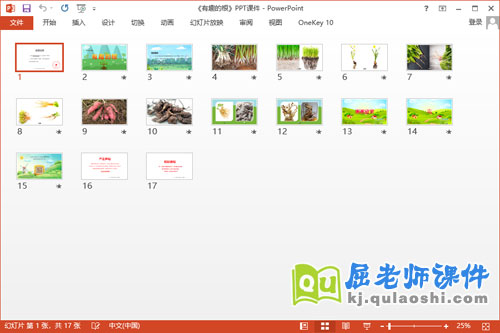 大班科学课件《有趣的根》教案学具PPT课件2