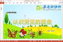 大班科学课件《认识常见的昆虫》教案PPT课件下载