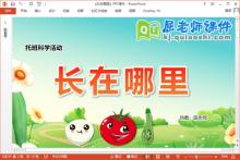 托班科学课件《长在哪里》教案PPT课件下载