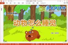 中班科学课件《动物怎么睡觉》教案音乐PPT课件下载