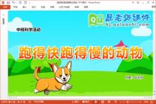 中班科学课件《跑得快跑得慢的动物》教案教具PPT课件下载