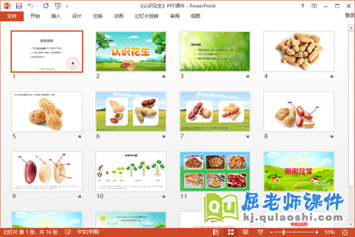 中班科学课件《认识花生》教案PPT课件2