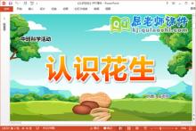 中班科学课件《认识花生》教案PPT课件下载