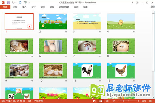 中班科学课件《鸡宝宝的成长》教案PPT课件2