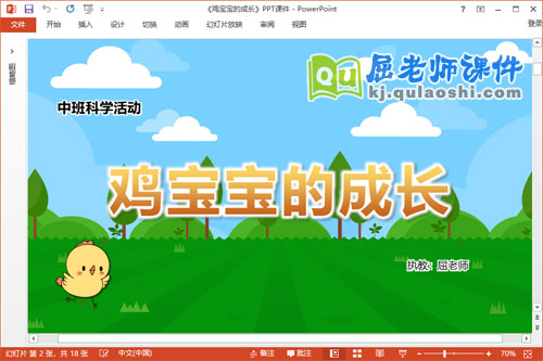 中班科学课件《鸡宝宝的成长》教案PPT课件