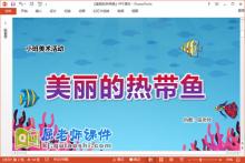 小班美术课件《美丽的热带鱼》教案学具PPT课件下载