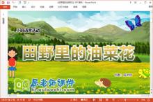 小班语言故事课件《田野里的油菜花》教案音乐PPT课件