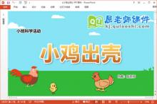 小班科学课件《小鸡出壳》教案音效PPT课件下载