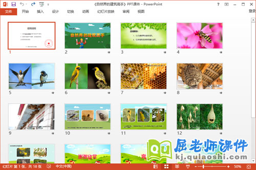 大班科学课件《自然界的建筑高手》教案PPT课件2