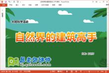大班科学课件《自然界的建筑高手》教案PPT课件下载