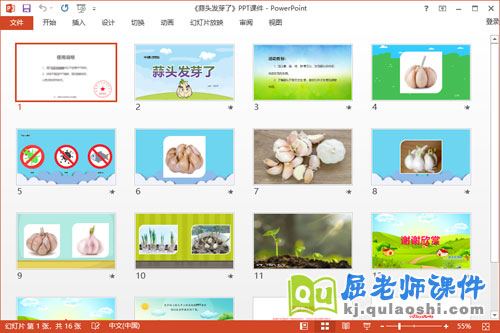 中班科学课件《蒜头发芽了》教案PPT课件2