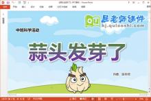 中班科学课件《蒜头发芽了》教案PPT课件下载
