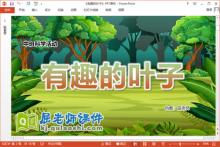 中班科学课件《有趣的叶子》教案PPT课件下载