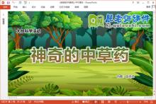 大班科学课件《神奇的中草药》PPT课件教案视频