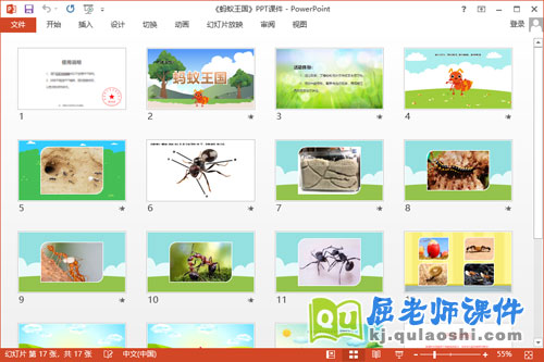 大班科学课件《蚂蚁王国》教案音乐PPT课件2