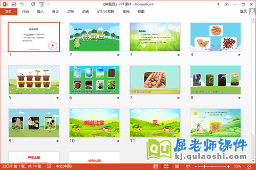 中班科学课件《种蚕豆》教案PPT课件2