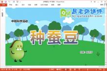 中班科学课件《种蚕豆》教案PPT课件下载