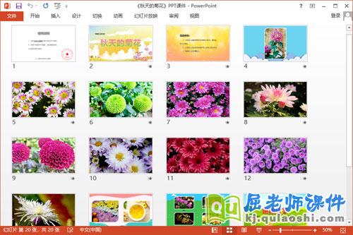 中班科学课件《秋天的菊花》教案PPT课件2